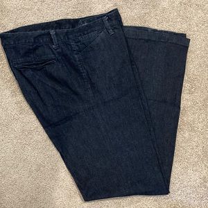 Banana Republic Dark Denim Trousers